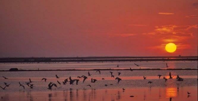 Margheritamare Margherita Di Savoia Dış mekan fotoğraf